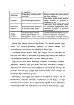 Diplomdarbs 'Būvkomercsabiedrības ekonomiskās efektivitātes paaugstināšanas iespējas', 83.