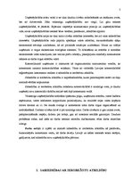 Referāts 'SIA tiesiskais statuss un atbildība kā darba devējam', 2.