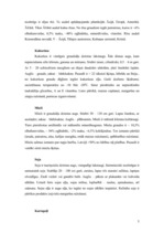 Referāts 'Litosfēras plātņu izmantošana', 4.