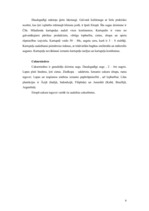 Referāts 'Litosfēras plātņu izmantošana', 5.