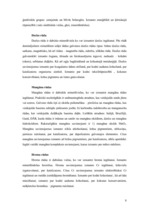 Referāts 'Litosfēras plātņu izmantošana', 7.