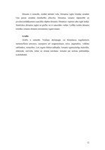 Referāts 'Litosfēras plātņu izmantošana', 11.