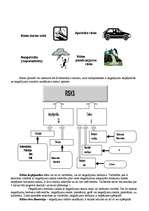 Referāts 'Darba vides riska faktoru novērtēšanas metodes', 4.