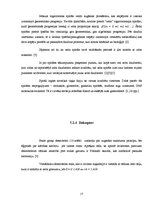 Referāts 'Zelta griezums', 17.