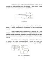 Referāts 'Zelta griezums', 21.