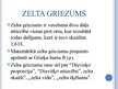Referāts 'Zelta griezums', 39.