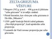 Referāts 'Zelta griezums', 40.