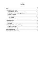 Referāts 'Demogrāfiskā situācija Latvijā un tās ietekme uz darba tirgu', 2.