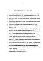 Referāts 'Demogrāfiskā situācija Latvijā un tās ietekme uz darba tirgu', 20.