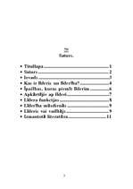 Referāts 'Līderība', 2.