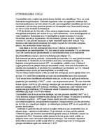 Konspekts 'Papildmateriāls bioķīmijā vielmaiņas tēmai', 3.