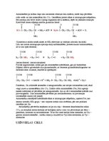 Konspekts 'Papildmateriāls bioķīmijā vielmaiņas tēmai', 9.