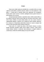 Referāts 'Krājumu novērtēšana uzņēmumā', 3.