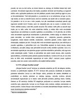 Referāts 'Nevalstisko organizāciju loma sabiedrības drošības problēmu risināšanā', 9.