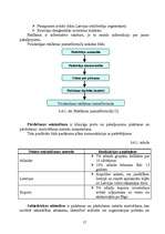 Referāts 'SIA "Lācītes" ceļojuma biroja "Skaisto skatu aģentūras" tirgus izpēte', 17.