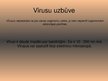 Prezentācija 'Vīrusu pasaule', 6.