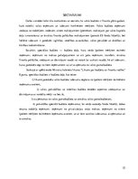 Referāts 'Sociālais budžets', 15.