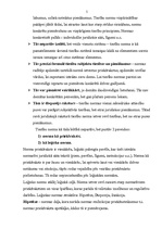 Konspekts 'Tiesību normu veidi un to raksturojums', 5.