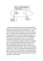 Referāts 'Klonēšanas tiesiskais regulējums', 8.