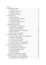 Konspekts 'Ziemassvētku pasākuma scenārijs bērnu dārzā  “Ziemassvētku brīnumzeme”', 2.