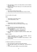 Konspekts 'Ziemassvētku pasākuma scenārijs bērnu dārzā  “Ziemassvētku brīnumzeme”', 13.