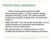 Prezentācija 'Bērna audzināšana un atbalstīšana Latvijā un Eiropā', 5.