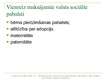 Prezentācija 'Bērna audzināšana un atbalstīšana Latvijā un Eiropā', 7.