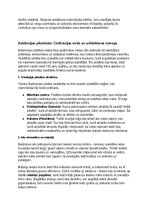 Konspekts 'Babiloni: vēsture, kultūra, mitoloģija, sabiedrība un kultūras mantojums', 19.