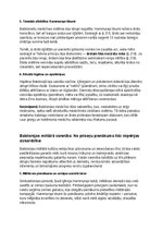 Konspekts 'Babiloni: vēsture, kultūra, mitoloģija, sabiedrība un kultūras mantojums', 28.