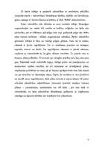 Referāts 'Uzņēmuma X dibināšana', 4.