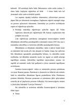 Referāts 'Uzņēmuma X dibināšana', 6.