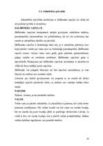 Referāts 'Uzņēmuma X dibināšana', 29.