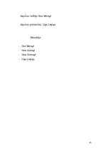 Referāts 'Uzņēmuma X dibināšana', 45.