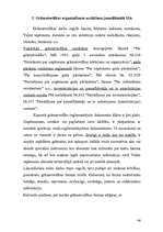 Referāts 'Uzņēmuma X dibināšana', 46.