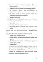 Referāts 'Uzņēmuma X dibināšana', 47.