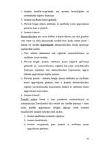 Referāts 'Uzņēmuma X dibināšana', 48.