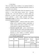 Referāts 'Uzņēmuma X dibināšana', 49.