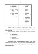Referāts 'Koordinēšanas un motivēšanas nozīme vadīšanas procesā', 11.