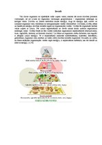 Referāts 'Uzturs enerģijai un veselībai', 4.