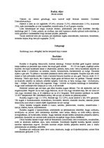 Referāts 'Uzturs enerģijai un veselībai', 9.