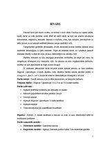 Referāts 'Iesauku un niku lietošana Jelgavas 1.ģimnāzijas 10.klašu skolēnu vidū', 5.