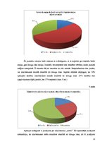 Referāts 'Iesauku un niku lietošana Jelgavas 1.ģimnāzijas 10.klašu skolēnu vidū', 20.