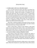 Eseja 'Kultūrpolitika Somijā', 1.