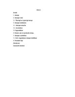 Referāts 'Atmiņa', 2.