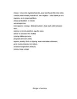 Referāts 'Atmiņa', 13.