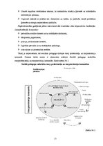 Prakses atskaite 'Sociālā pedagoga prakses atskaite', 15.