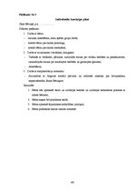 Prakses atskaite 'Sociālā pedagoga prakses atskaite', 48.