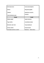 Referāts 'Lietišķā etiķete Apvienotajos Arābu Emirātos', 12.