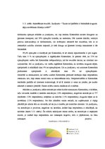 Diplomdarbs 'SIA "Studio Moderna" zīmola "Kosmodisk" attīstības stratēģijas izveide', 63.