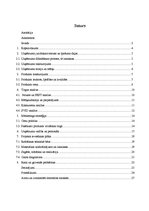 Biznesa plāns 'Biznesa plāns SPA salonam', 1.